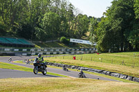 cadwell-park;cadwell-park-photographs;cadwell-trackday-photographs;enduro-digital-images;event-digital-images;eventdigitalimages;peter-wileman-photography;racing-digital-images;trackday-digital-images;trackday-photos